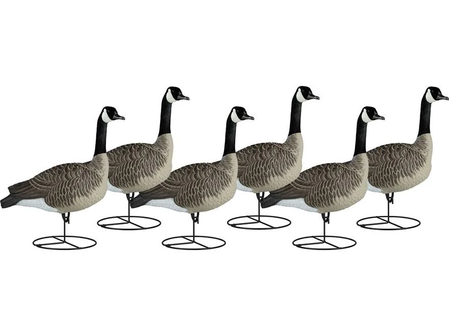 Flocked Canada Honker Decoys M16986