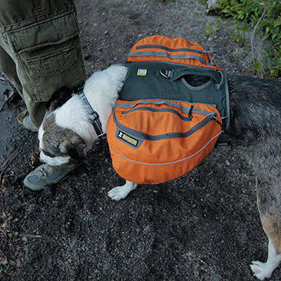Campfire Orange Dog Pack T574948