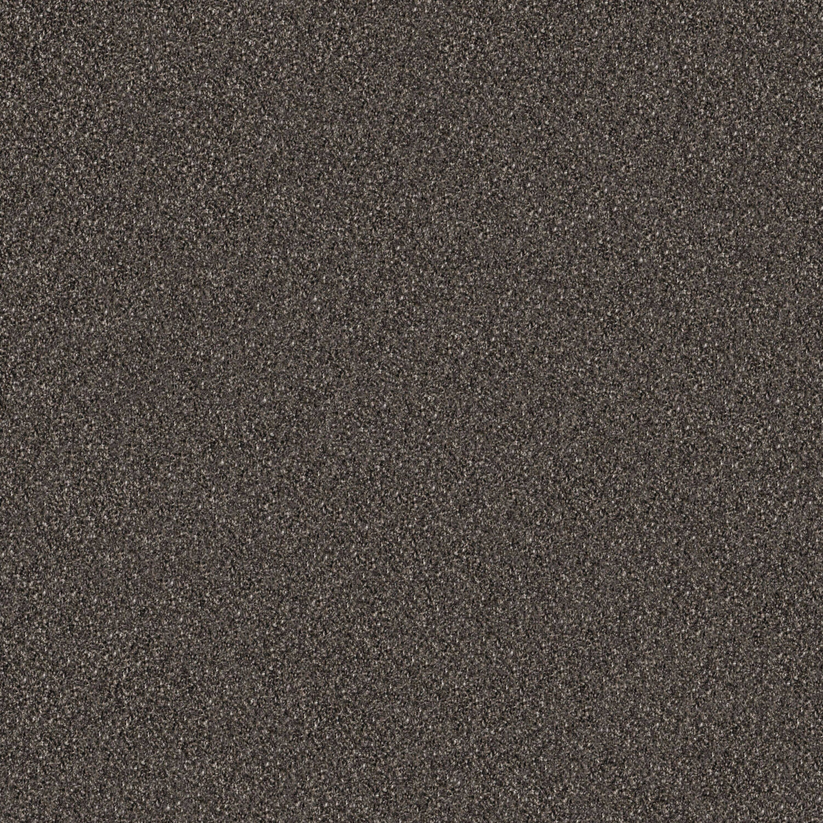 Carpet Tile E244