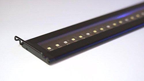 Satellite Plus Pro LED Light J481