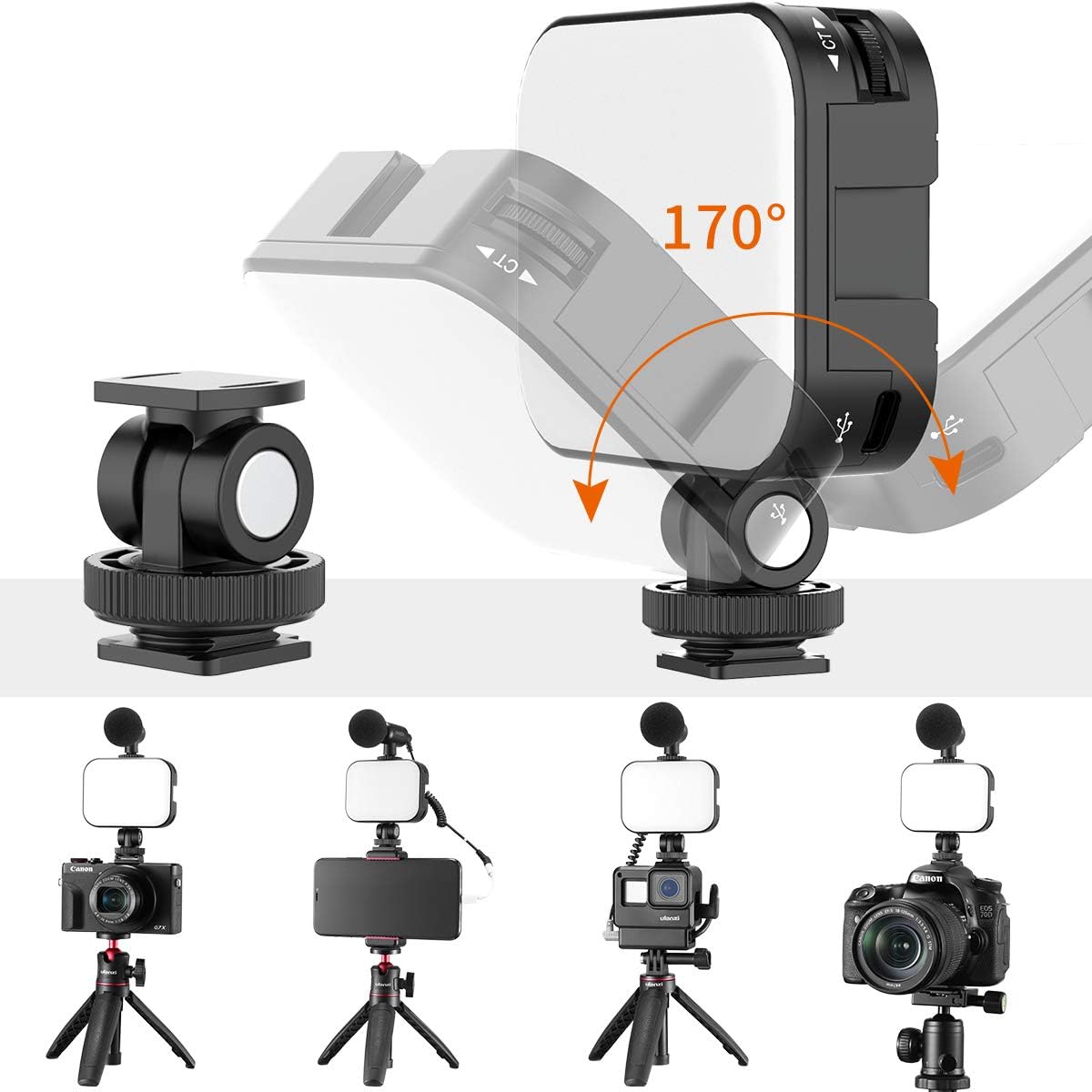 Bi-Color LED Video Light with 2000mAh Rechargeable Battery R265935