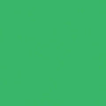 Chroma Green Lighting Filter A631