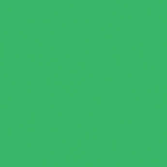 Chroma Green Lighting Filter A631