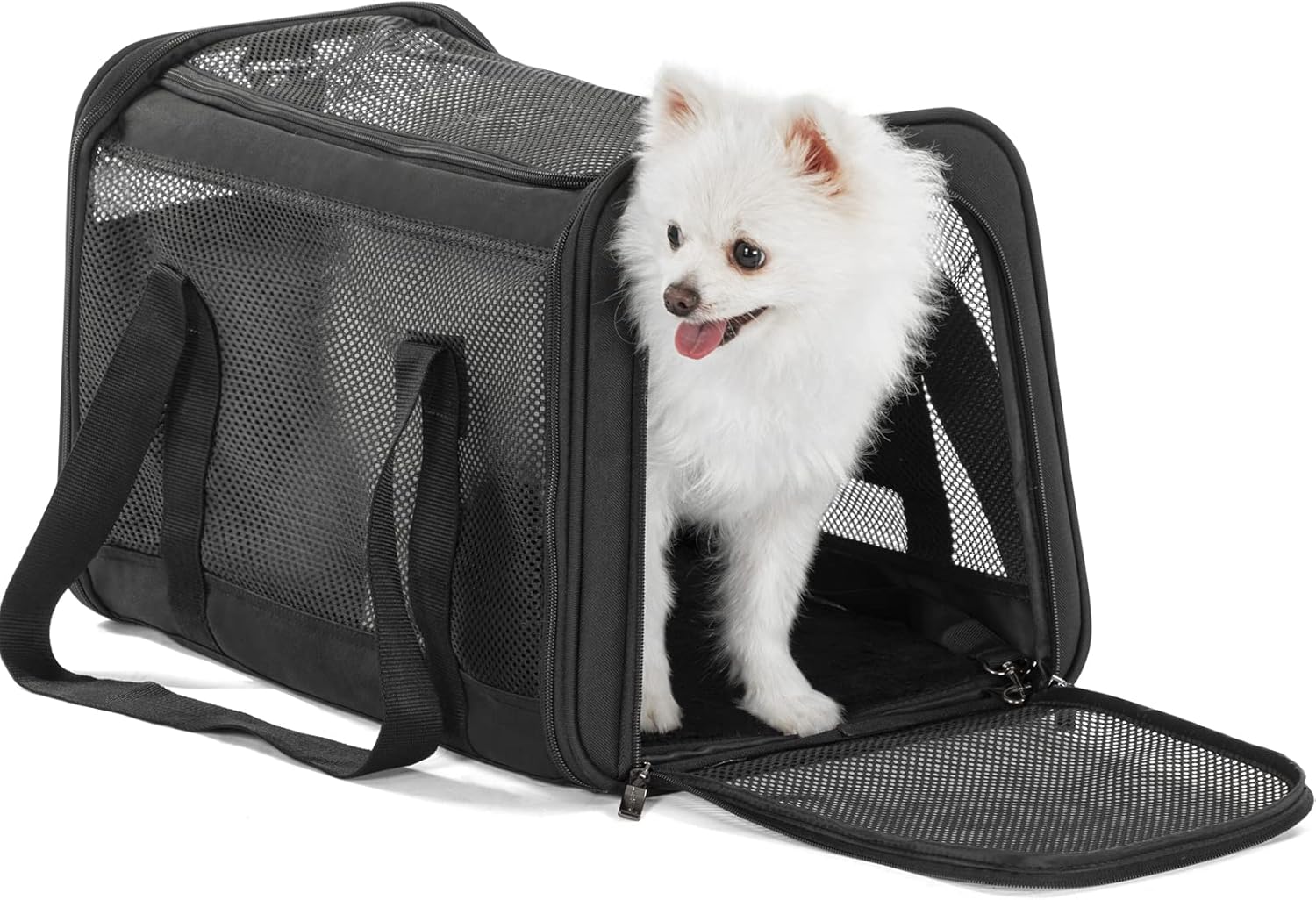 Large Space Soft-Sided Cat Carrier Pack of 2 R99881