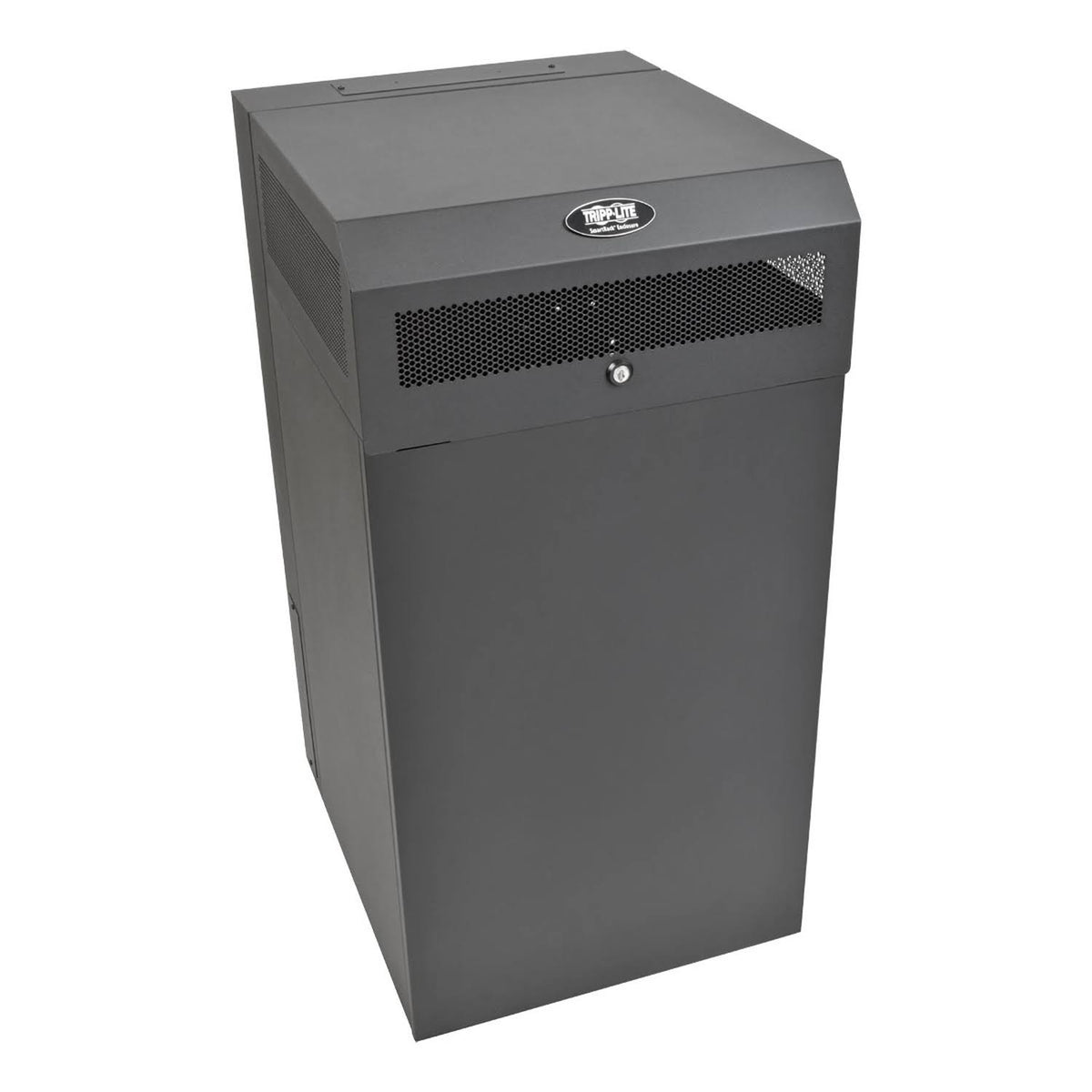 16U Wallmount Rack Enclosure Server Cabinet T377906