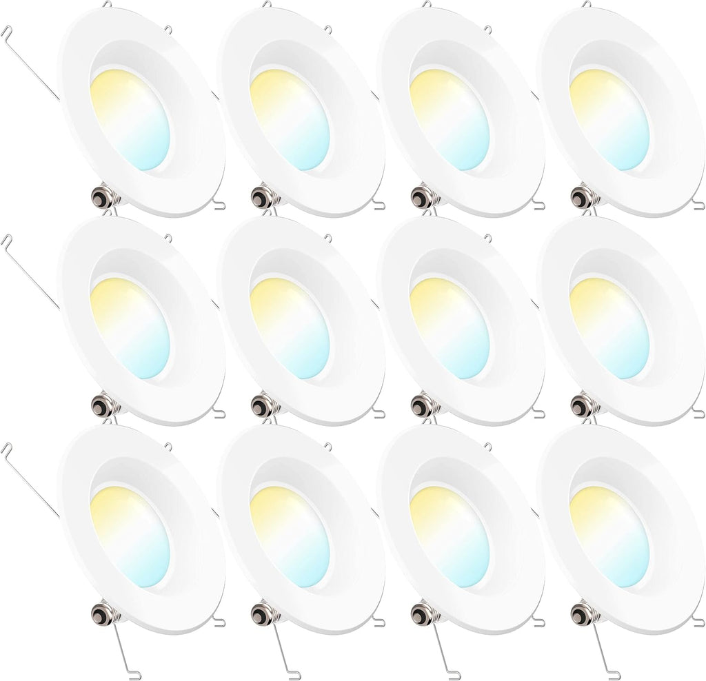 12 Pack 5/6 Inch LED Recessed Lighting Retrofit Conversion Kit F282
