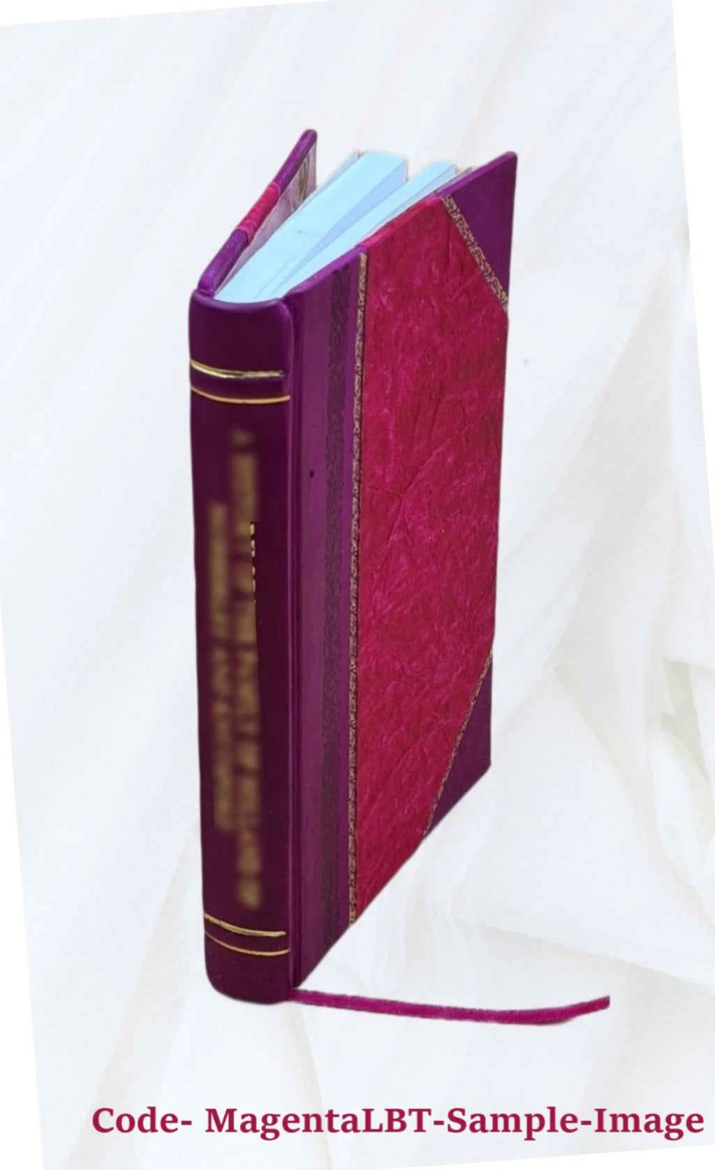 Leather Bound Book V272