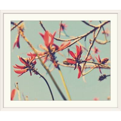 Photographic Print White Frame N72984