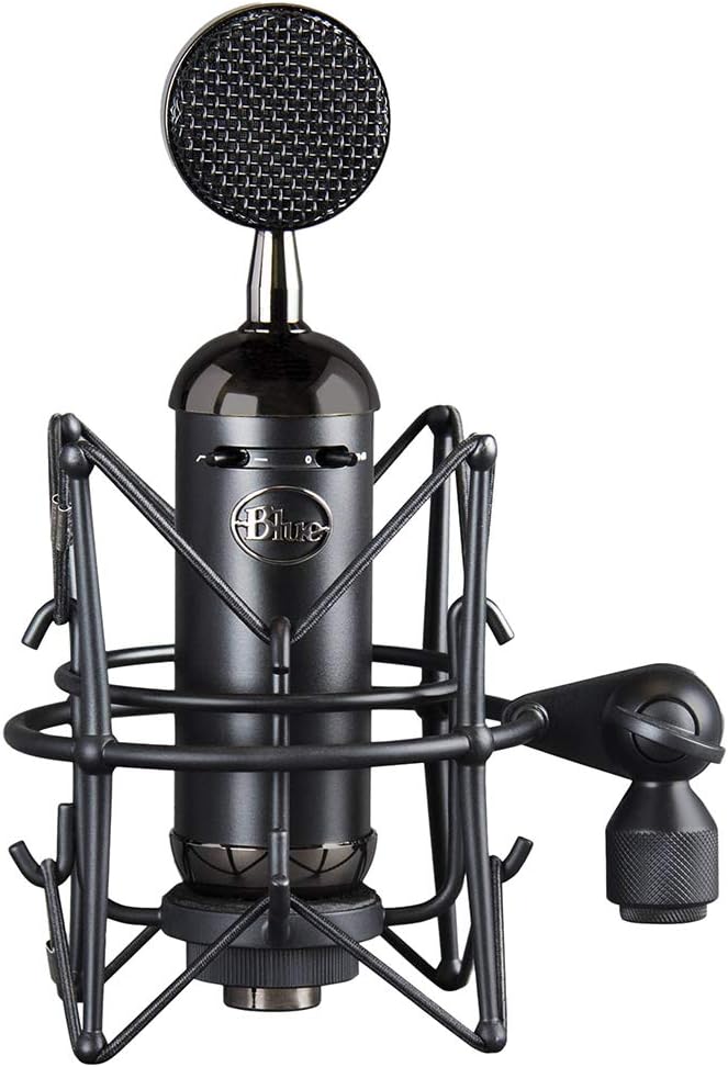 Blue Blackout XLR Condenser Microphone with Pop Filter & 20' XLR Cable C3861