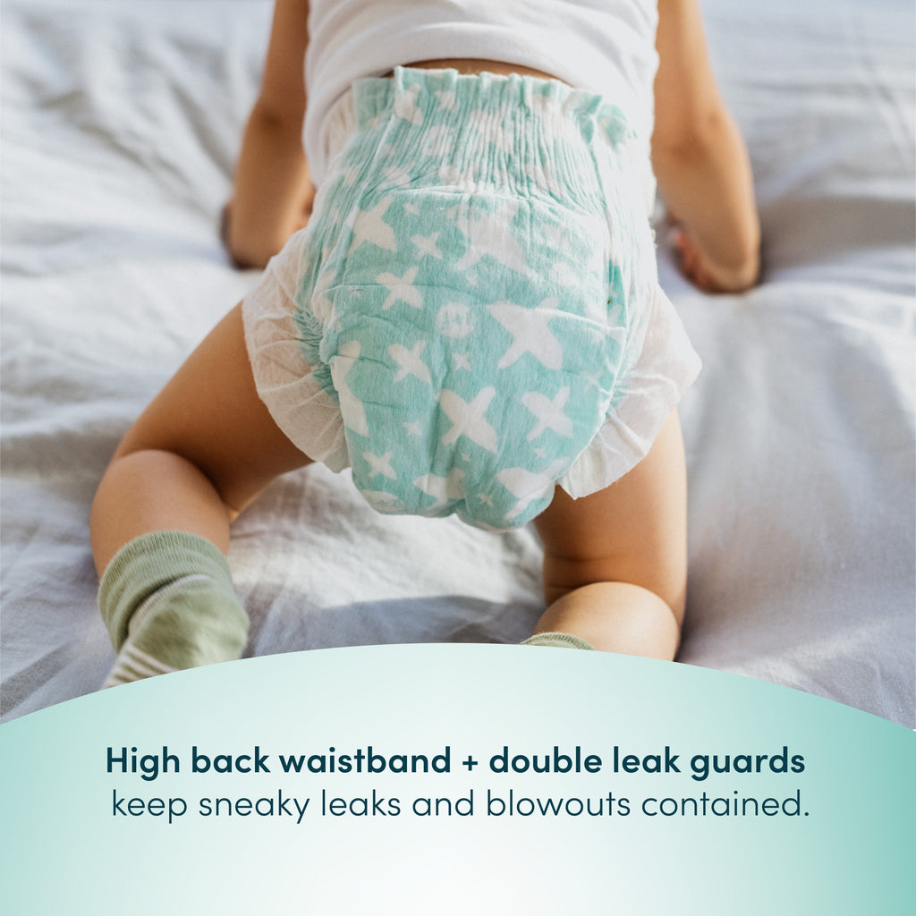 Premium Diapers Size 6, 112 Count B1988