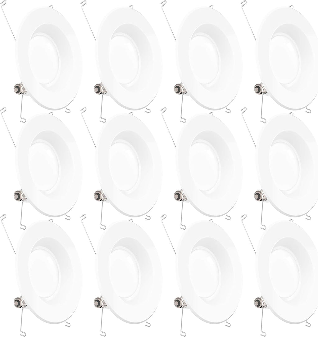 12 Pack 5/6 Inch LED Recessed Lighting Retrofit Conversion Kit F282