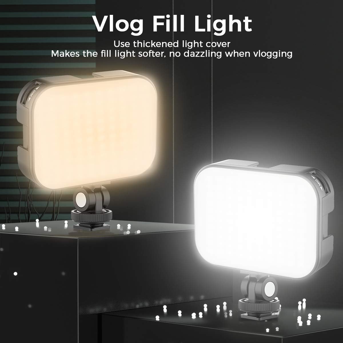 Bi-Color LED Video Light with 2000mAh Rechargeable Battery R265935
