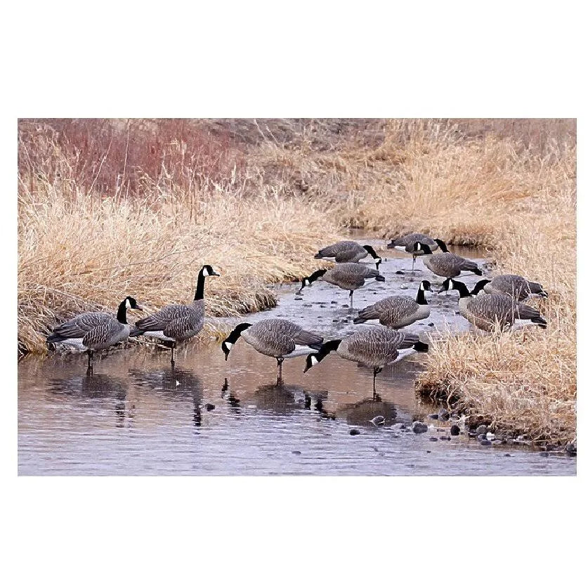Flocked Canada Honker Decoys M16986