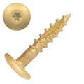 Exterior Cabinet Screws Star Drive J384