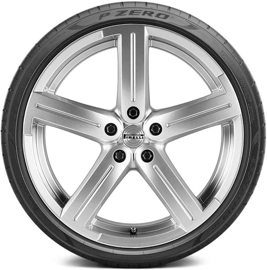 245/45ZR18XL 100W Performance Radial Tire P66011