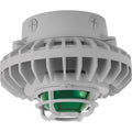 Cool LED Ceiling Green Frosted Globe Die Cast Guard D824550