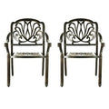 2 Piece Patio Dining Chairs Cast Aluminum P3128