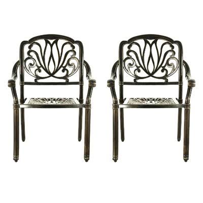2 Piece Patio Dining Chairs Cast Aluminum P3128