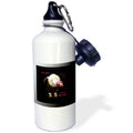 21 oz Sports Water Bottle Z2065