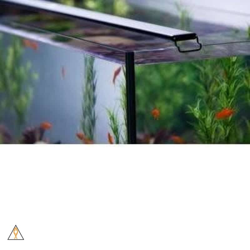 Satellite Plus Pro LED Light J481