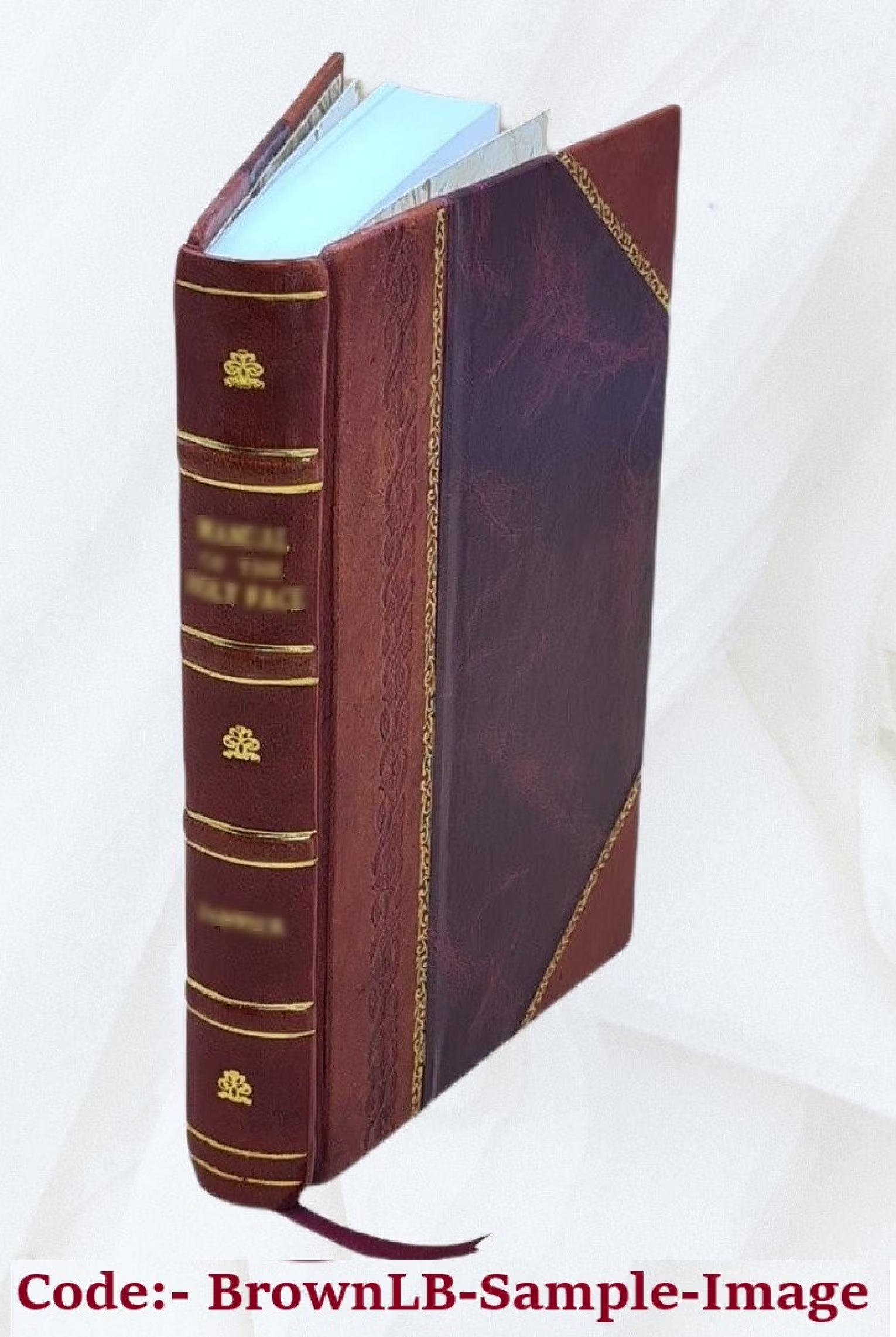Storrs Agricultural Experiment Station Annual Report Volume 15th 1902/03 Leather Bound F6395