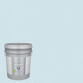 Interior Paint (5-Gallon) G953513