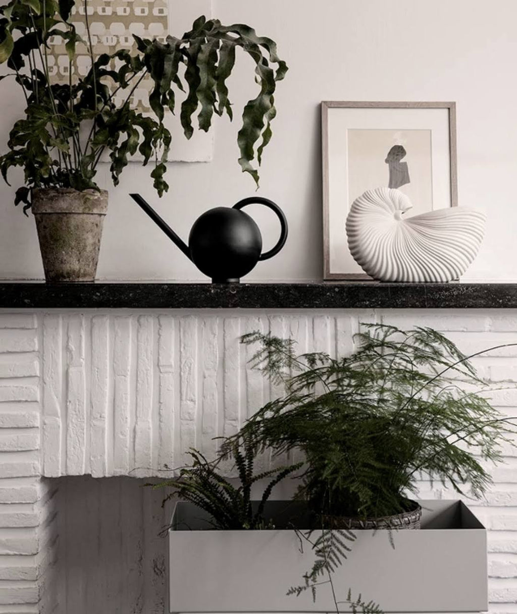 Cashmere Watering Can D6205