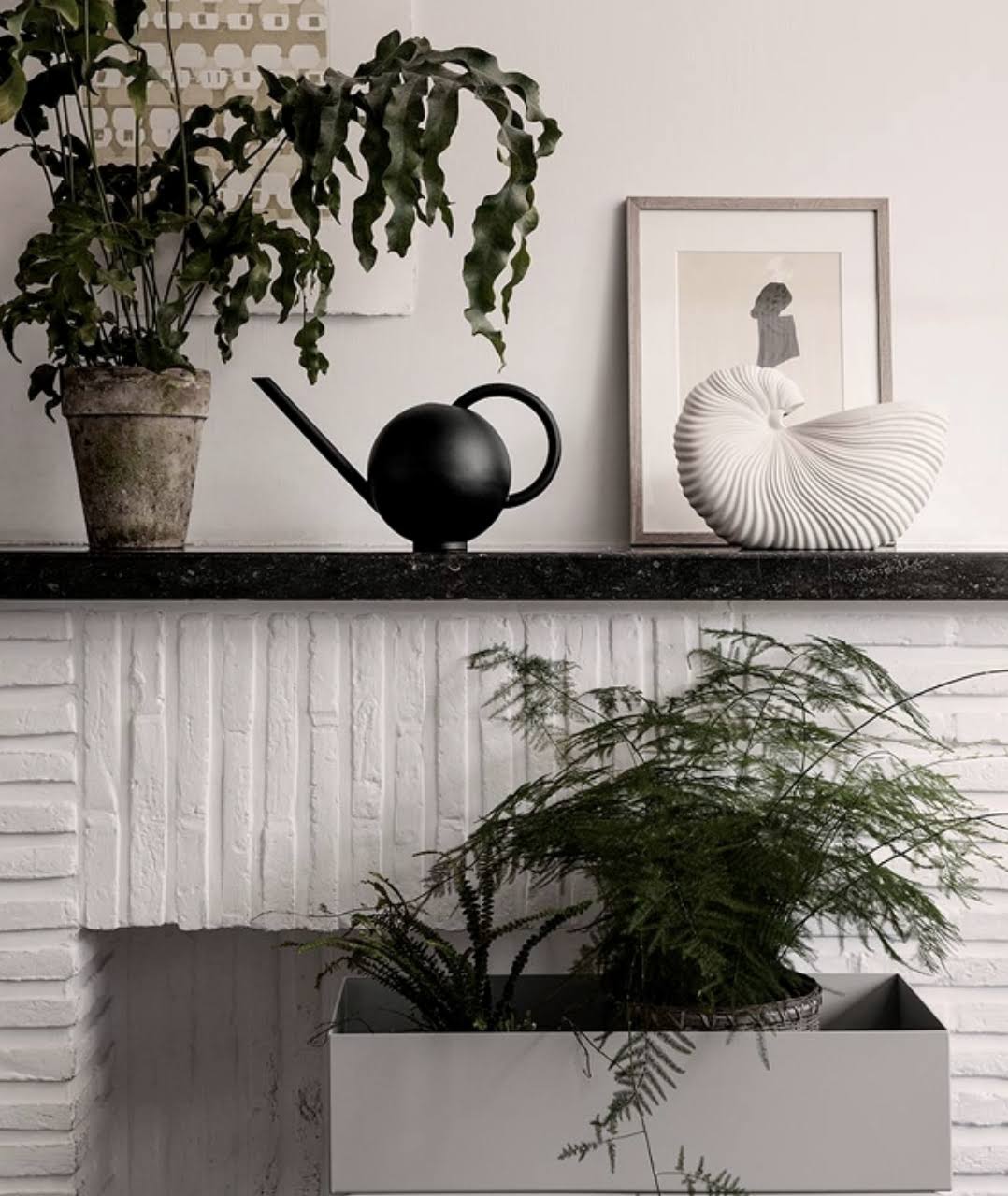 Cashmere Watering Can D6205