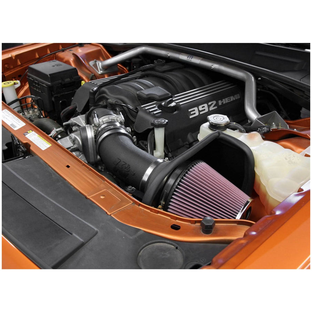Performance Air Intake System D2665