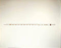 0.1mL Reusable Measuring Pipets I8726
