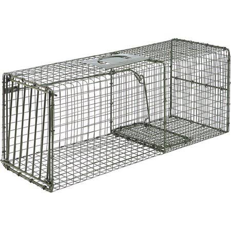 Pecan Animal Trap Y290590
